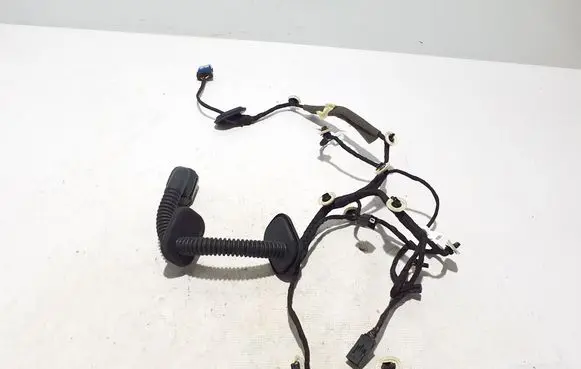 Renault Arkana Other wiring loom 241248964R