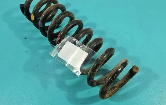 Rear coil spring