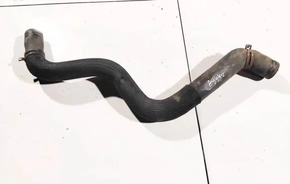 Renault Laguna III Engine coolant pipe/hose 215010054r 215010054r-a
