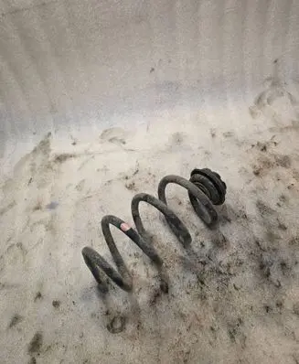 Nissan Rogue Rear coil spring