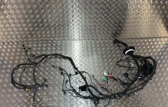 Renault Arkana Engine installation wiring loom PU19410