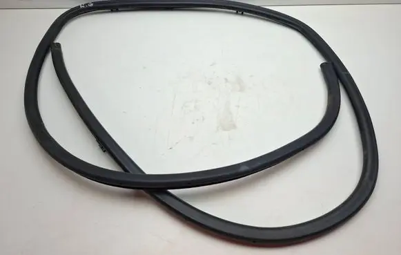 Lexus RX III Rubber seal rear door 