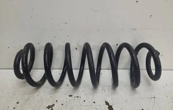 Volkswagen PASSAT B6 Rear coil spring
