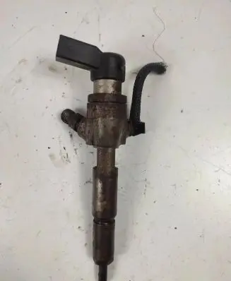 Renault Kangoo II Fuel injector H8200294768 A2C5951610