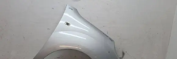 Renault Kangoo II Fender 631003601R