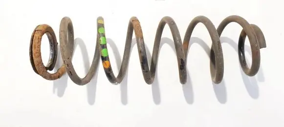 Rear coil spring