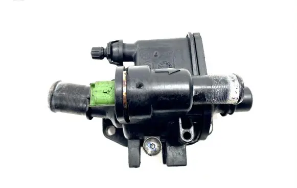 Thermostat/thermostat housing
