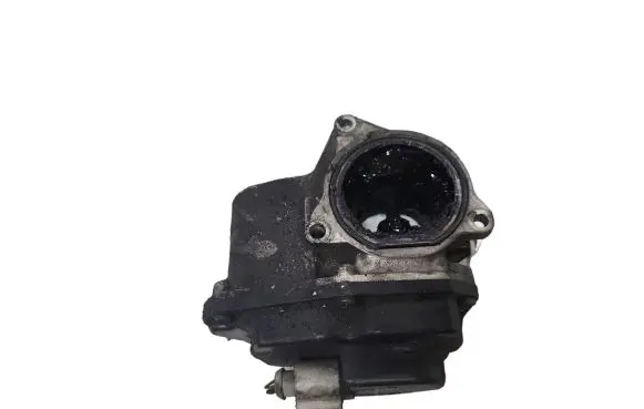 Skoda Yeti (5L) EGR valve 03L131501G 09002439