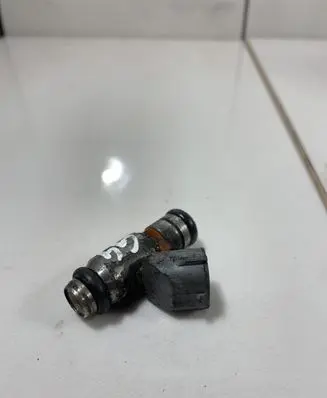 Volkswagen Golf IV Fuel injector 036031G