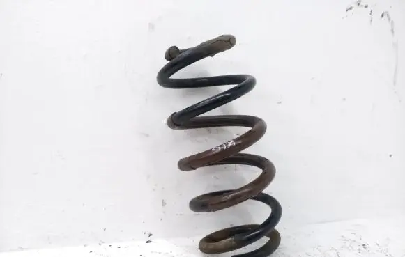 Rear coil spring