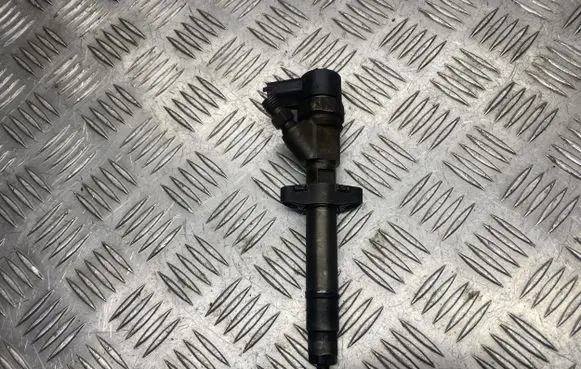Renault Espace - Grand espace IV Fuel injector 8200084534
