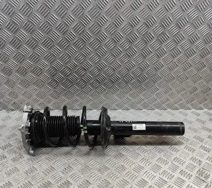 Skoda Enyaq iV Front shock absorber/damper 1EA413023BK