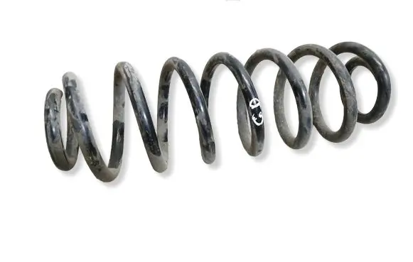 Volkswagen PASSAT B6 Rear coil spring 