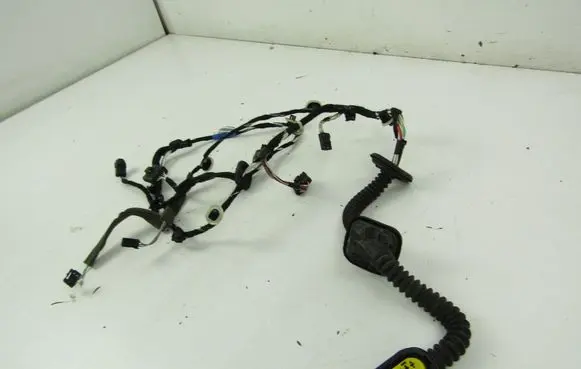 Renault Laguna III Front door wiring loom 