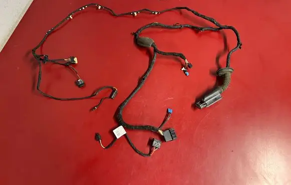 BMW X5 G05 Front door wiring loom 8779790 70612611