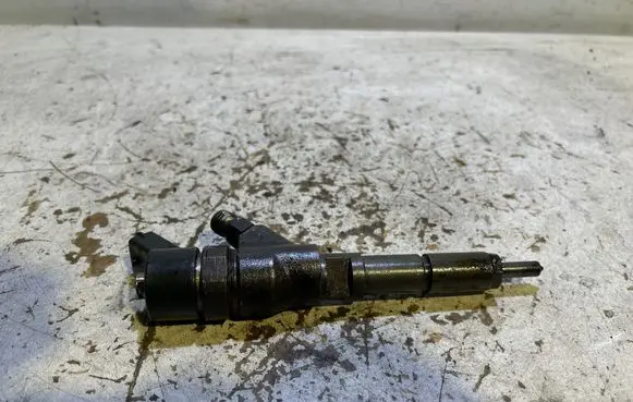 Citroen C5 Fuel injector 0445110062