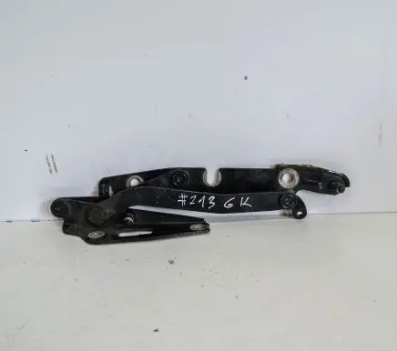 Tailgate/trunk/boot hinge