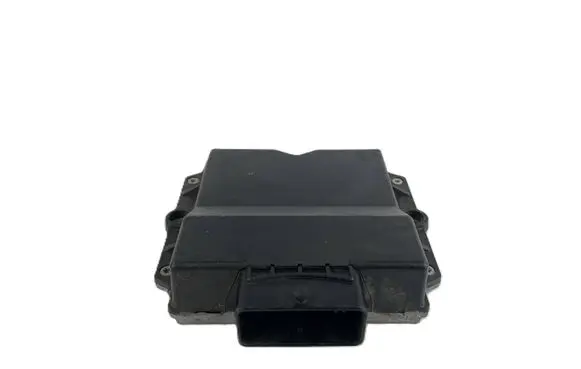 Chevrolet Spark Fuel injection control unit/module DE815033 67R011002 DE8150334