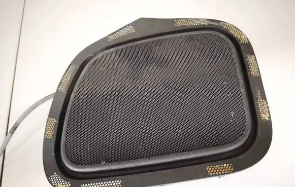 Front door speaker