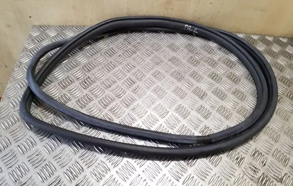 Toyota RAV 4 (XA30) Front door rubber seal