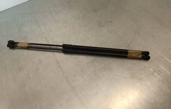 Opel Insignia B Tailgate/trunk strut/damper 39122135 4199510470N