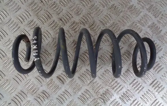 Rear coil spring