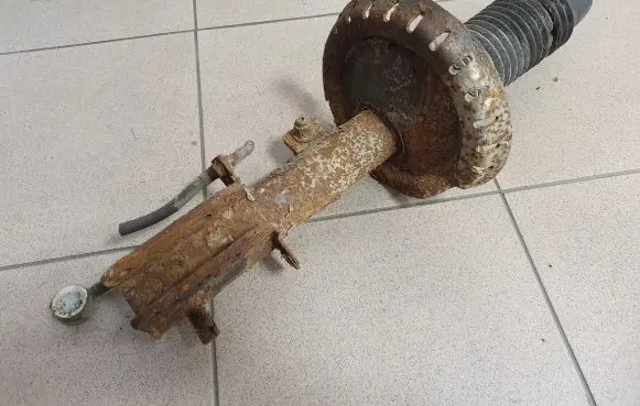 Peugeot Expert Front shock absorber/damper