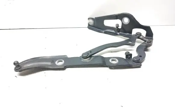 BMW 1 E82 E88 Tailgate/trunk/boot hinge 7166751