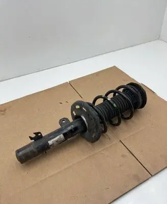 Opel Crossland X Front shock absorber/damper 3556095 9841119480 0301000144
