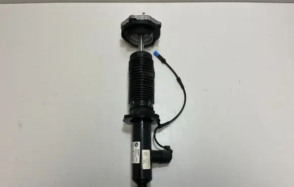 BMW X3 G01 Rear shock absorber/damper 6887148