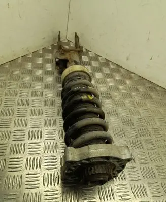Porsche Cayenne (9PA) Front shock absorber with coil spring 7L5412022AA