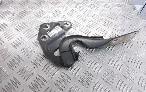 Fiat Croma Engine bonnet/hood hinges B430DX