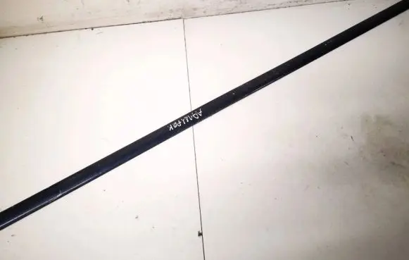 Front door trim (molding)