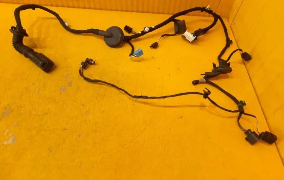 Front door wiring loom