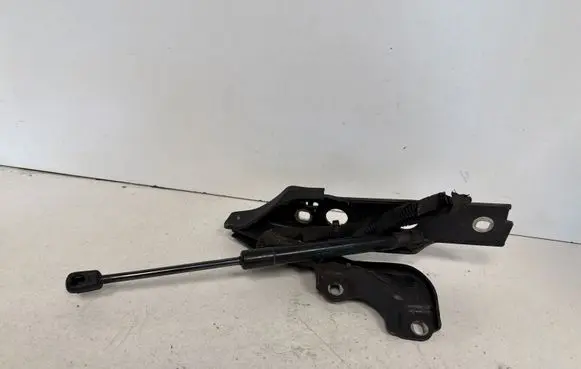 Audi A6 S6 C7 4G Engine bonnet/hood hinges 4G8823301D