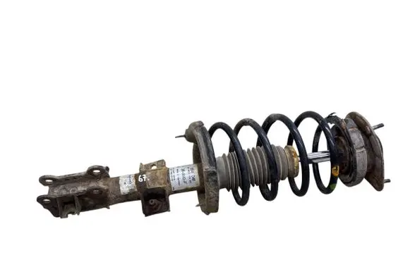 Front shock absorber with coil spring