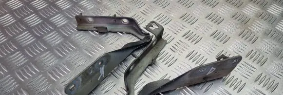 Citroen C3 Engine bonnet/hood hinges 9637365680 9637365580