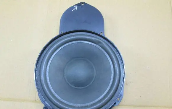 Volkswagen PASSAT B6 Front door speaker