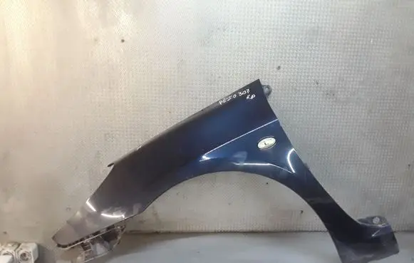 Peugeot 307 Fender