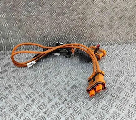 Volkswagen ID.4 Other wiring loom 1EA971015T