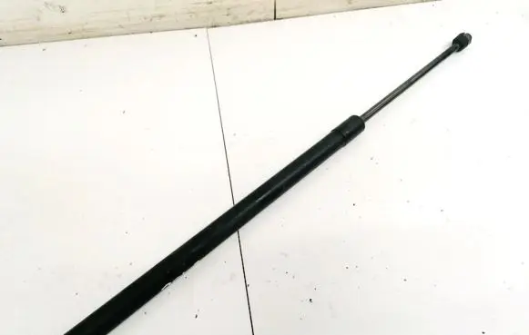 Tailgate/trunk strut/damper