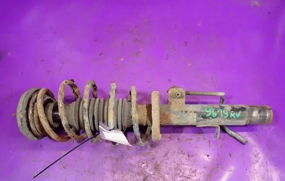 Citroen C3 Front shock absorber with coil spring 