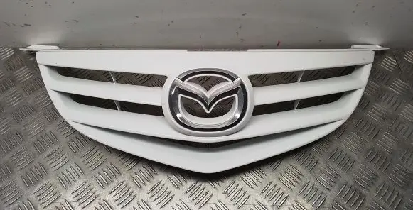 Front bumper upper radiator grill