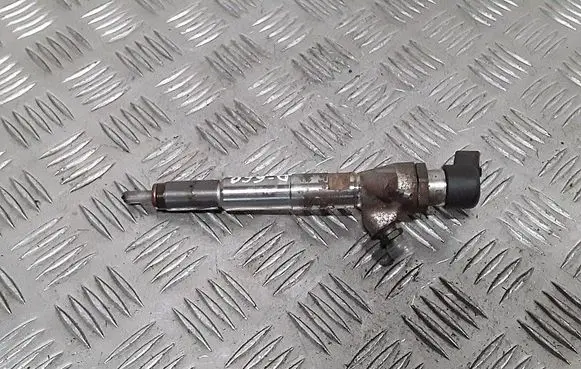 Dacia Duster Fuel injector 166008052R H8200704191