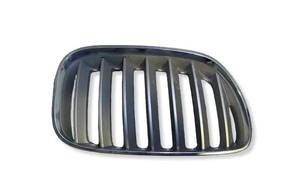 BMW X5 E53 Front grill 51137113738