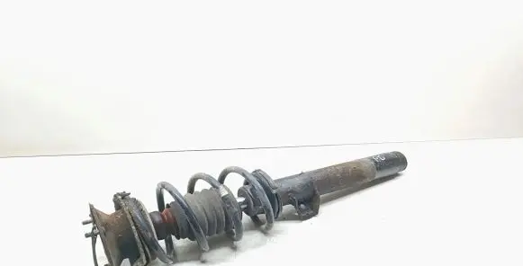 BMW X1 E84 Front shock absorber with coil spring