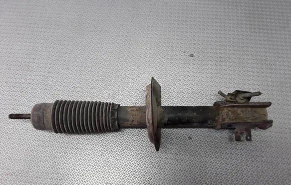 Fiat Scudo Front shock absorber/damper