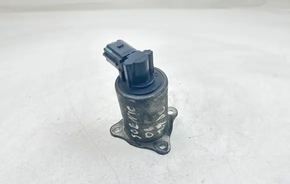 Renault Scenic II - Grand scenic II EGR valve 70007504