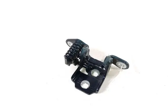 Dodge Journey Rear door lower hinge 5067939AH