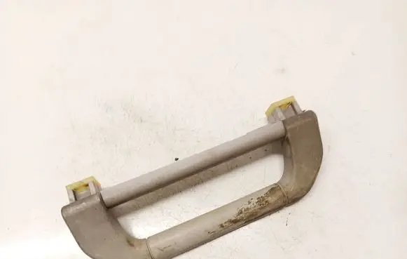 BMW X5 E53 Front interior roof grab handle 8257226